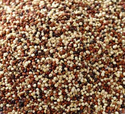 Andean Grain Mix [Mixed Quinoa] 混合三色藜麥