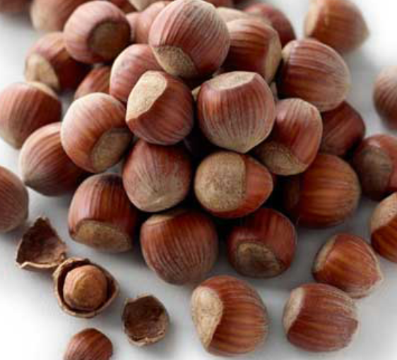 Hazelnut in shell 榛子連殼