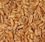 Wheat Hulled 澳洲小麥去殼