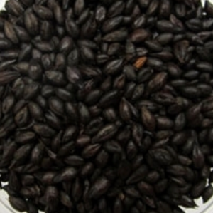 Barley Black 黑大麥